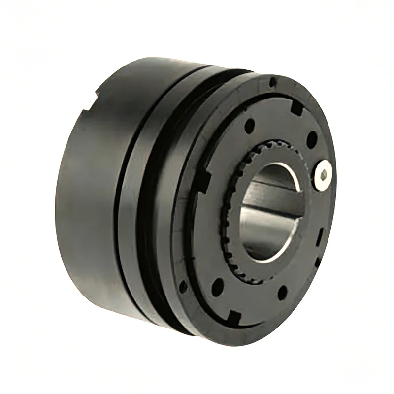 Torque Limiter for Industrial Overload Protection